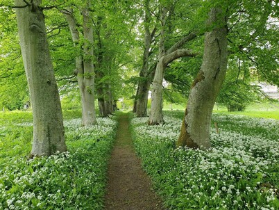 霍伊斯萊夫拜特朗姆 6 人度假屋