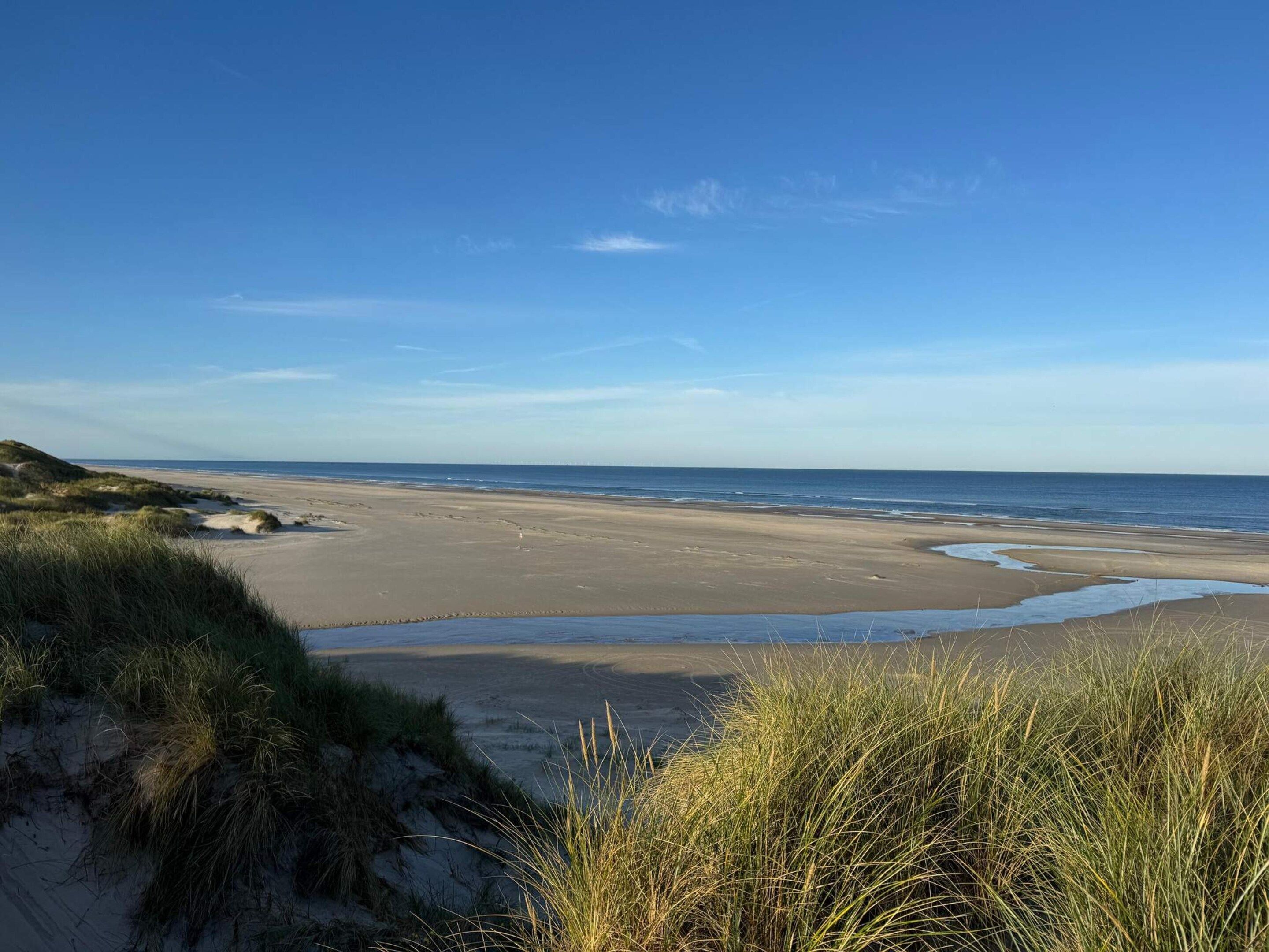 Una spiaggia con dune sabbiose e cielo sereno.