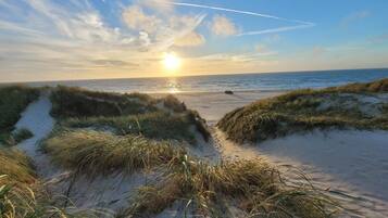 House | Beach