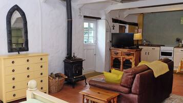 30-inch TV with digital channels, fireplace