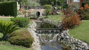 A garden with a small waterfall, stone pathway, and various plants.