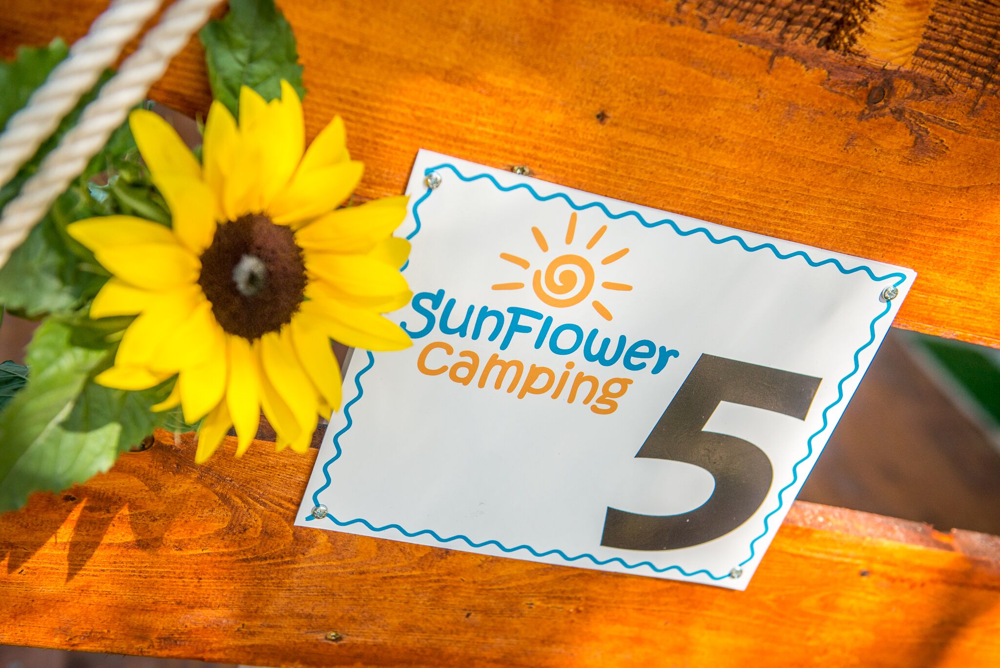 Uma superfície de madeira com uma placa que diz "SunFlower Camping 5".