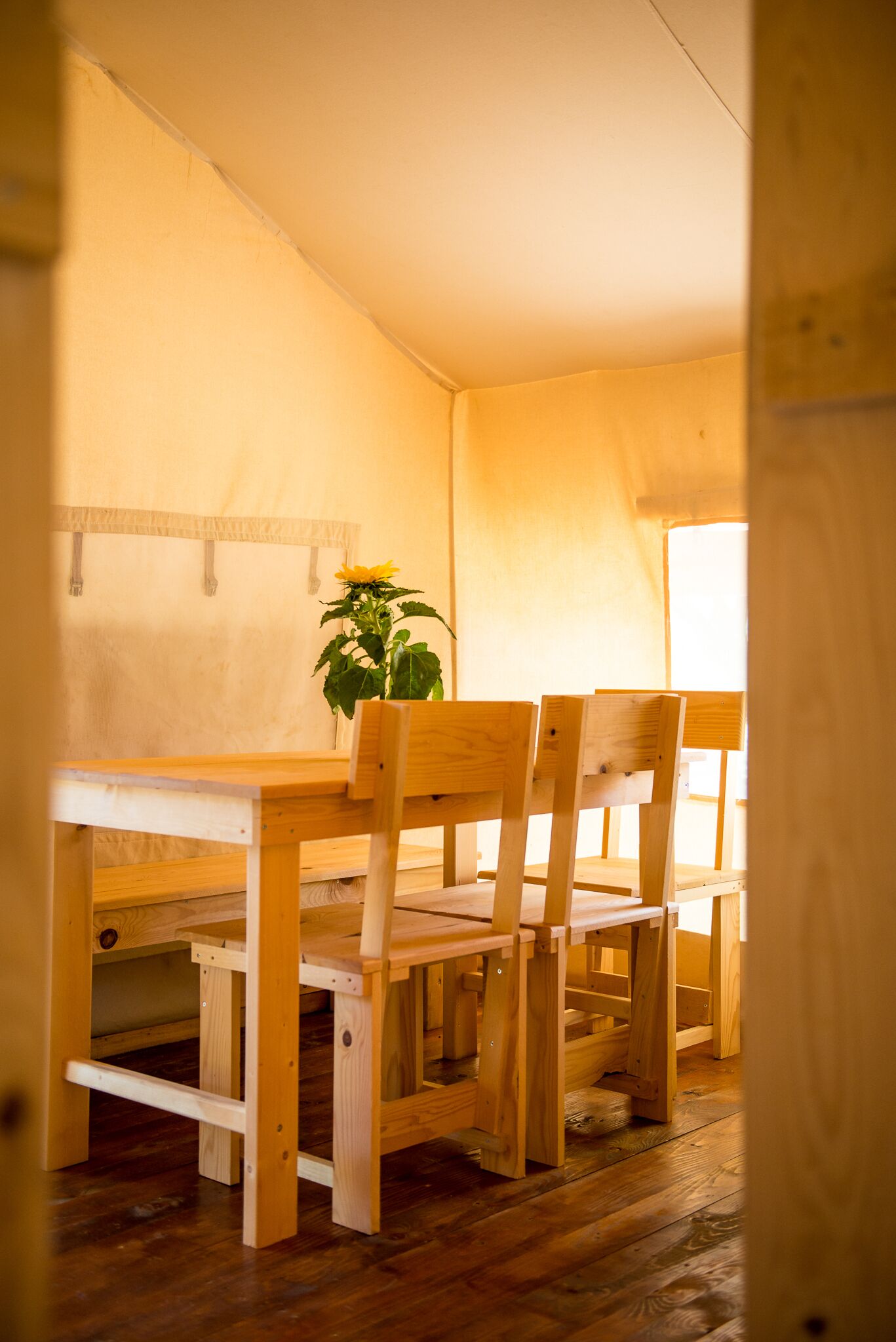 A wooden dining table with chairs, a potted plant, and a window with curtains.