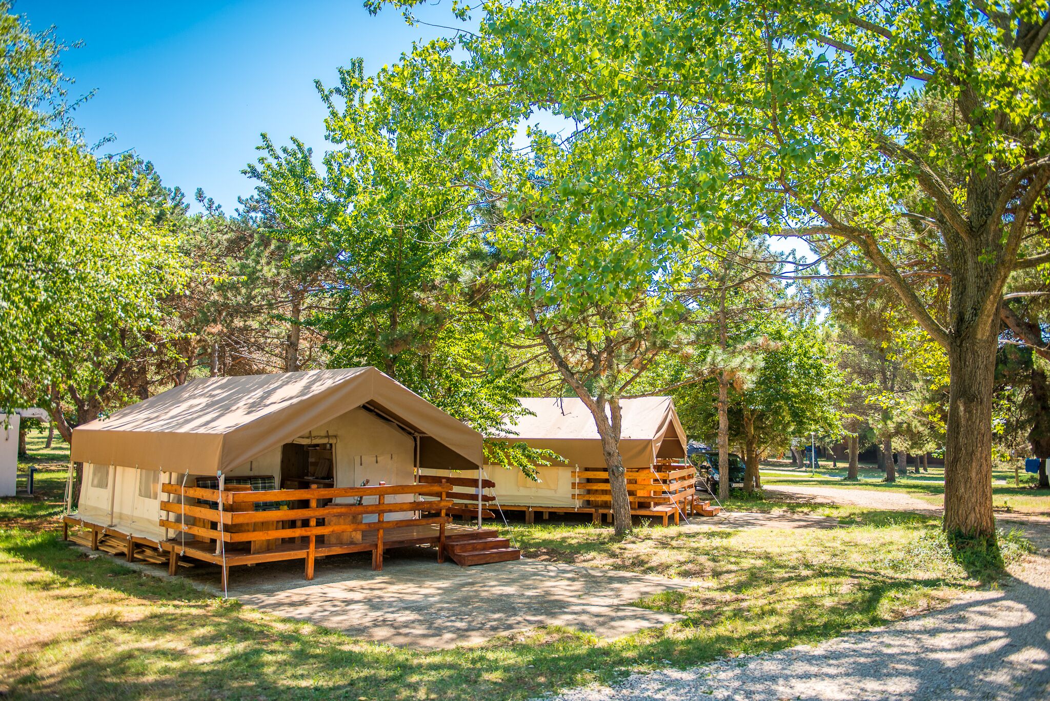Two wooden cabins with pitched roofs, surrounded by trees, in a campsite setting.