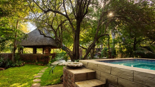 A backyard with a swimming pool, a brick patio, and a thatched-roof structure. - Doringpoort Safari Lodge (Nkomazi)