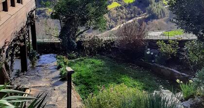 Richard and Suzanne Aparment cozy with an incredible views, quiet Valley.