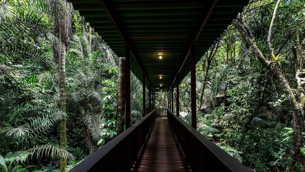 A wooden walkway through a dense forest with a metal roof and railings. - Casa Iporanga (Guarujá)
