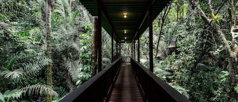 Área da propriedade