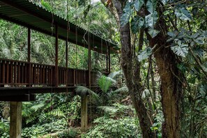 5 habitaciones, cuna de viaje y ropa de cama 