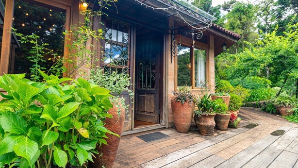A wooden house with a porch, large potted plants, and a door with a window. -  Vale do Lajeado - Campos do Jordão (Campos do Jordão)