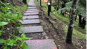 A pathway leading to a wooden house surrounded by dense forest. -  Vale do Lajeado - Campos do Jordão (Campos do Jordão)