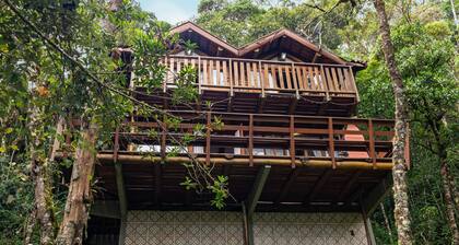 Aprecie a natureza em Campos do Jordao - Chale Lírio