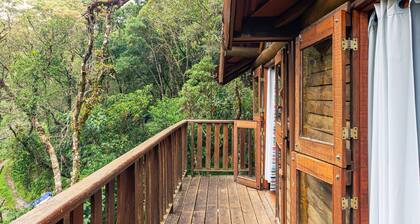 Aprecie a natureza em Campos do Jordao - Chale Lírio