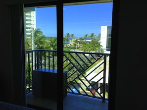 Vue depuis le balcon