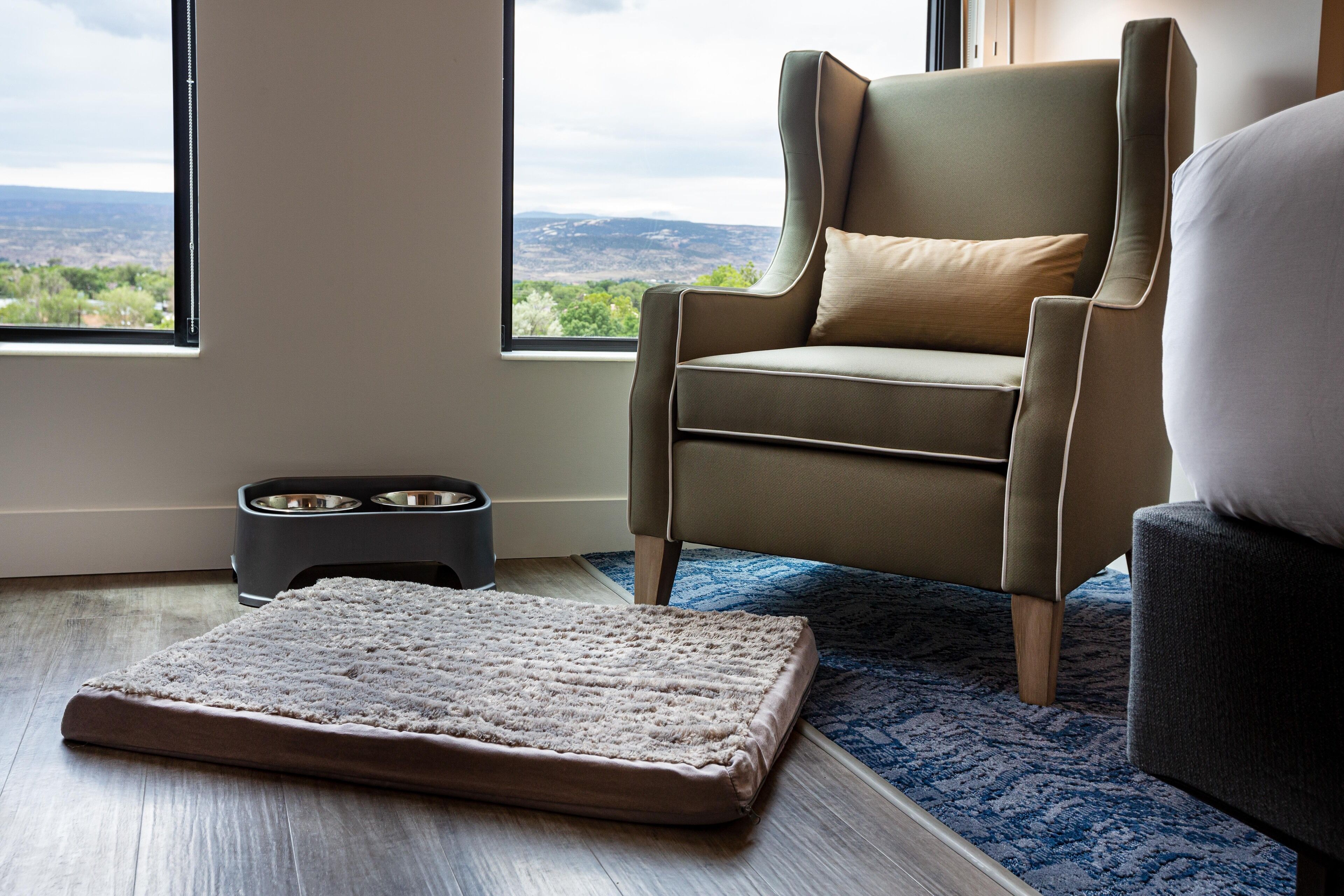 pet-friendly amenities