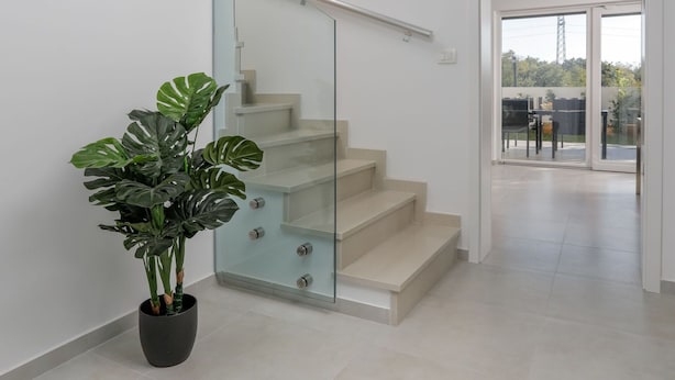A modern staircase with glass railings and a potted plant.