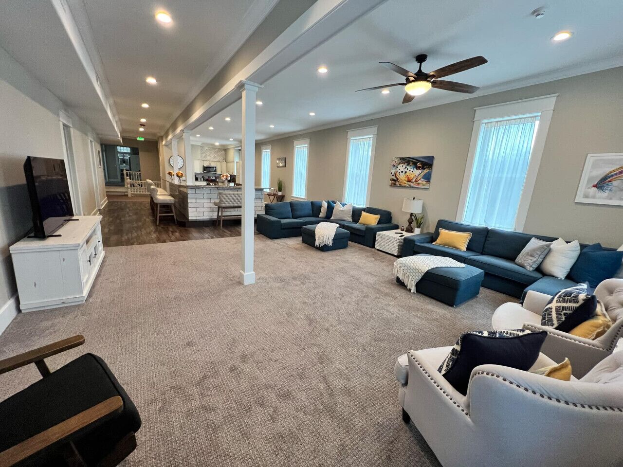 Smart TV, fireplace, books