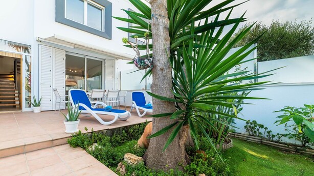 Una casa moderna con un patio, due poltrone blu e una palma.