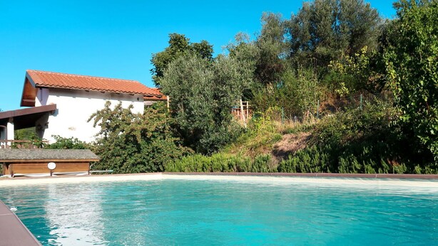 Ein klares, blaues Schwimmbecken mit einer Holzterrasse, umgeben von üppiger Vegetation und einem weißen Gebäude mit rotem Dach.