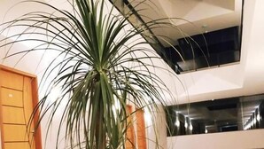 Un jardín interior moderno con una palmera, flores rojas y diversas plantas.