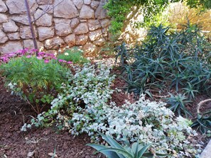 Stunning garden area with a variety of plants and a rustic stone wall.