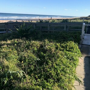 Property grounds - Indies House Ormond Beach (Ormond Beach)