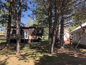 A rustic cabin with a picnic table and a tent in a wooded area.