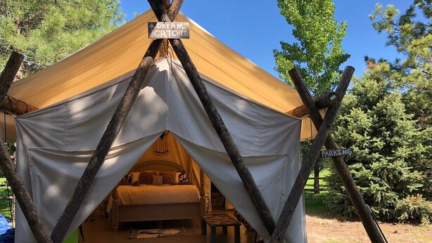 A tent with a bed inside, surrounded by trees.