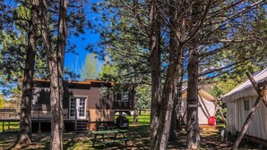 A rustic cabin with a deck and picnic table, surrounded by tall pine trees. - Arabian nights Luxury suite, Glamping tent (Irwin)