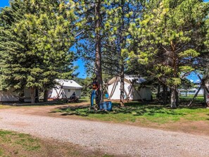A campsite with tents, a gravel path, and a person standing near a tree.