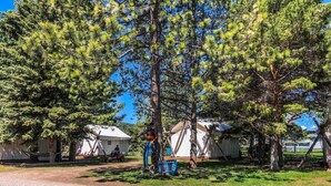 A campsite with tents, a gravel path, and a person standing near a tree. - Arabian nights Luxury suite, Glamping tent (Irwin)