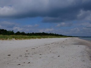 A beach with a sandy shore and a line of trees in the background.