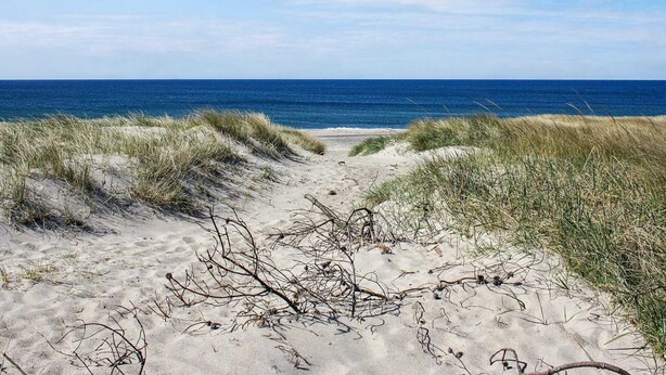 A sandy beach path leading to the ocean, surrounded by grassy dunes. - 4 Star Holiday Home in Harboore (Harboore)