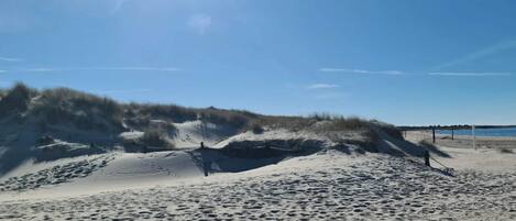 A sandy beach with dunes and footprints.