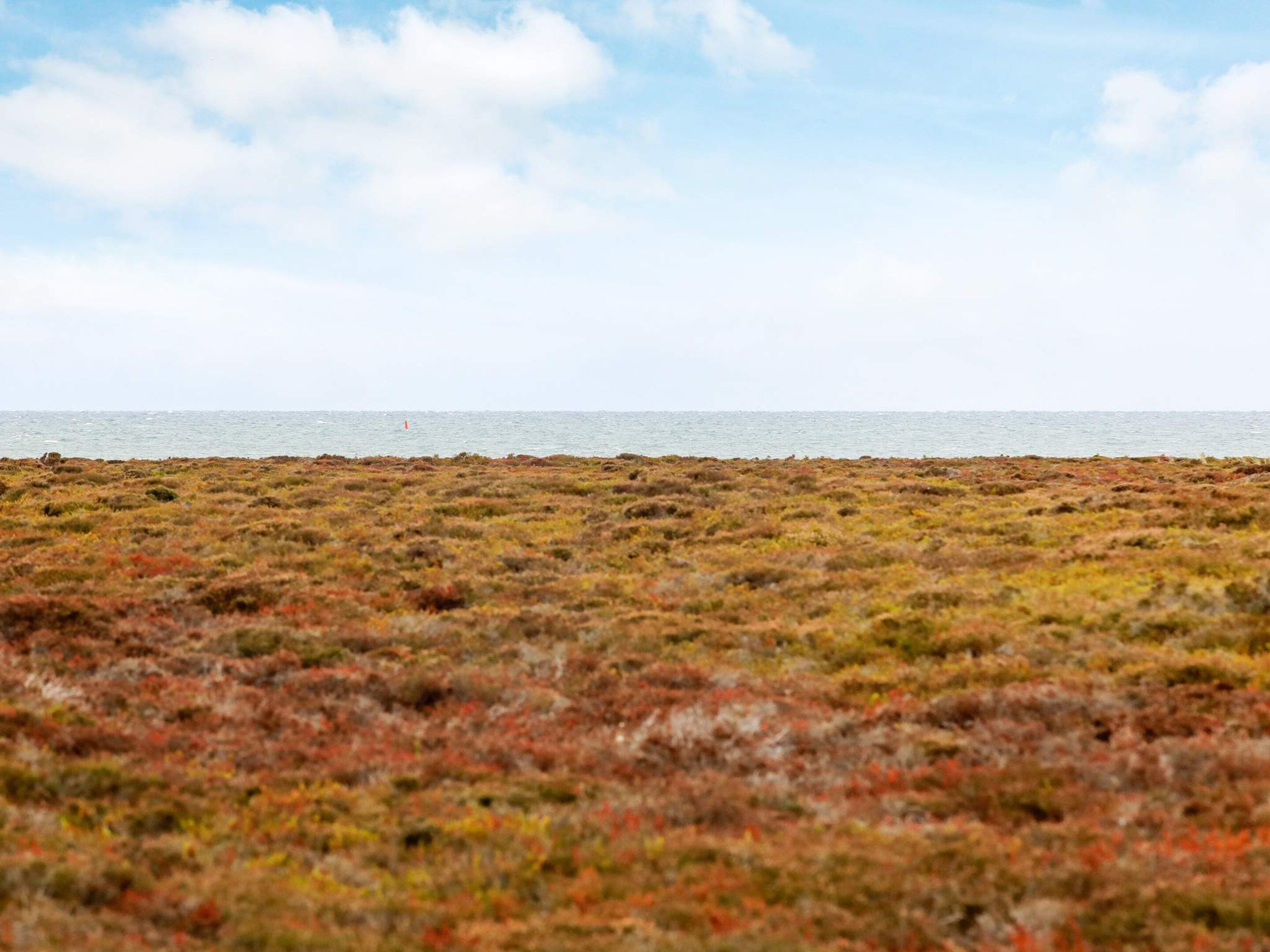 Un paysage côtier caractérisé par une végétation clairsemée et une vue sur la mer.