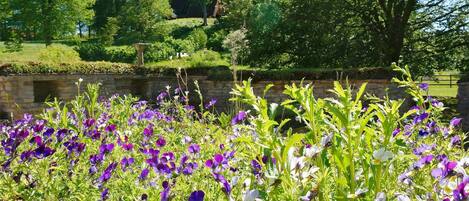 獨棟房屋 | 住宿一隅