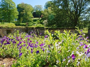 المنطقة المحيطة بالمنشأة