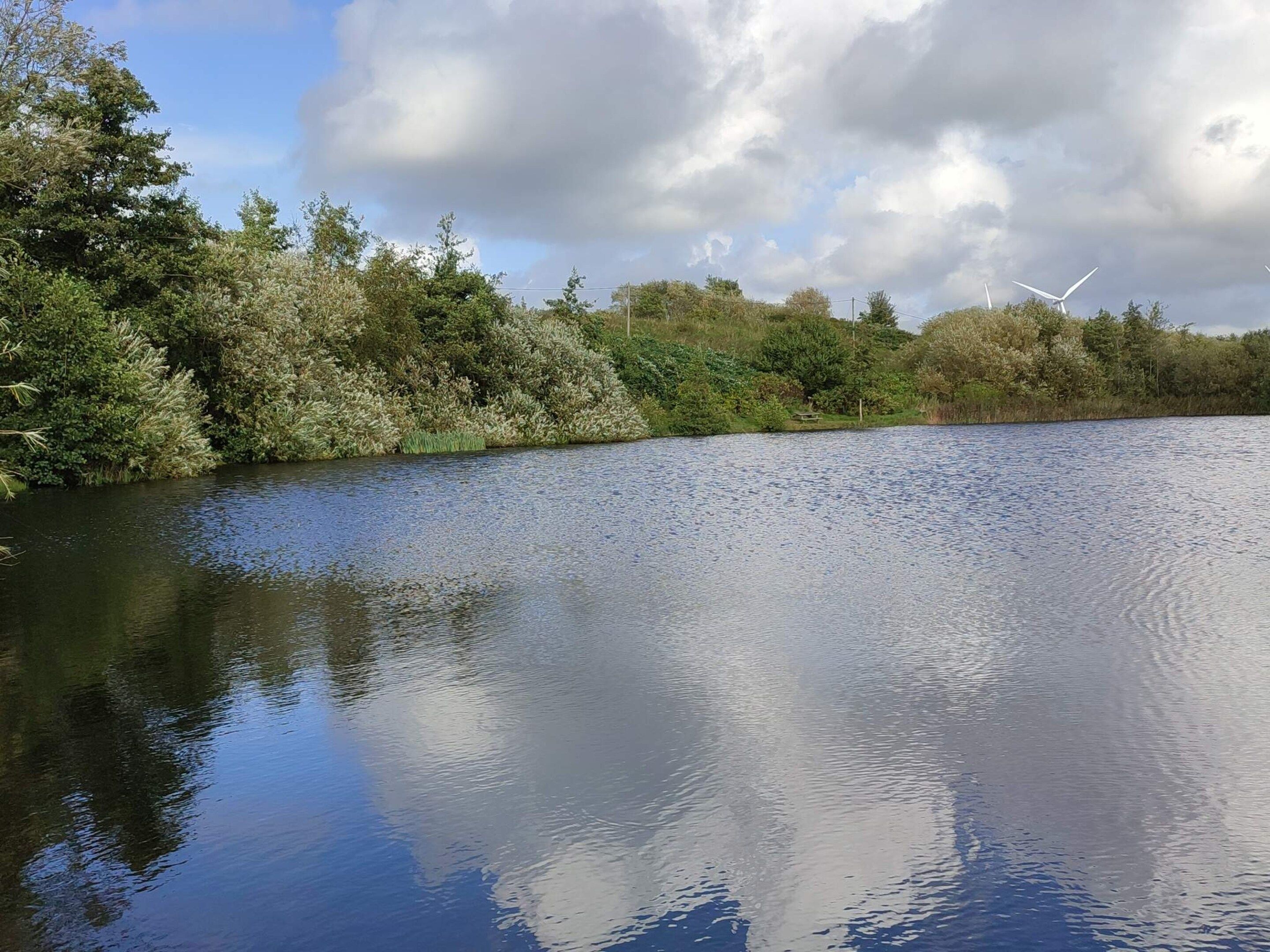A calm river with dense foliage on the banks and a clear sky.