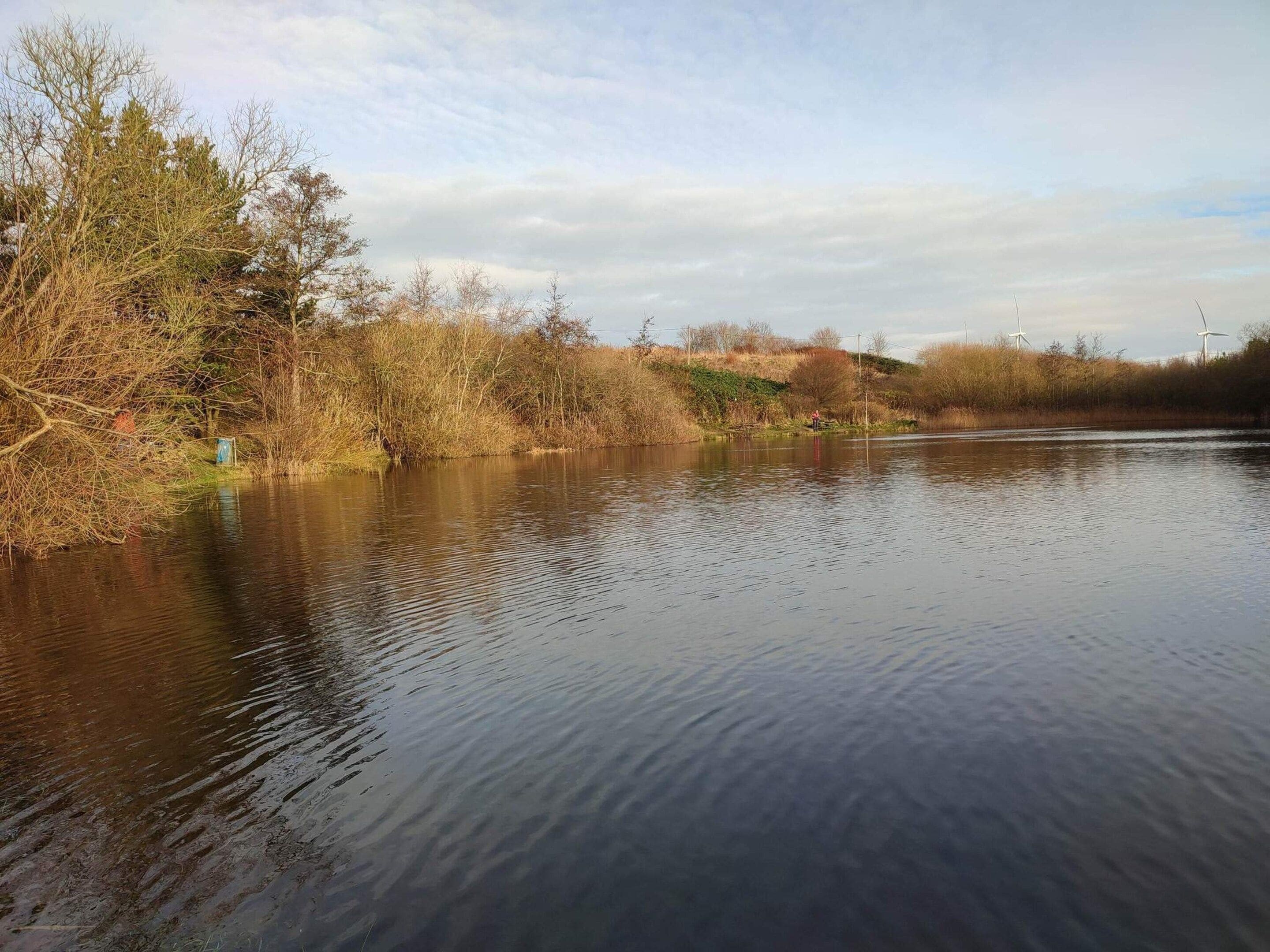 Un río tranquilo con árboles y turbinas eólicas al fondo.