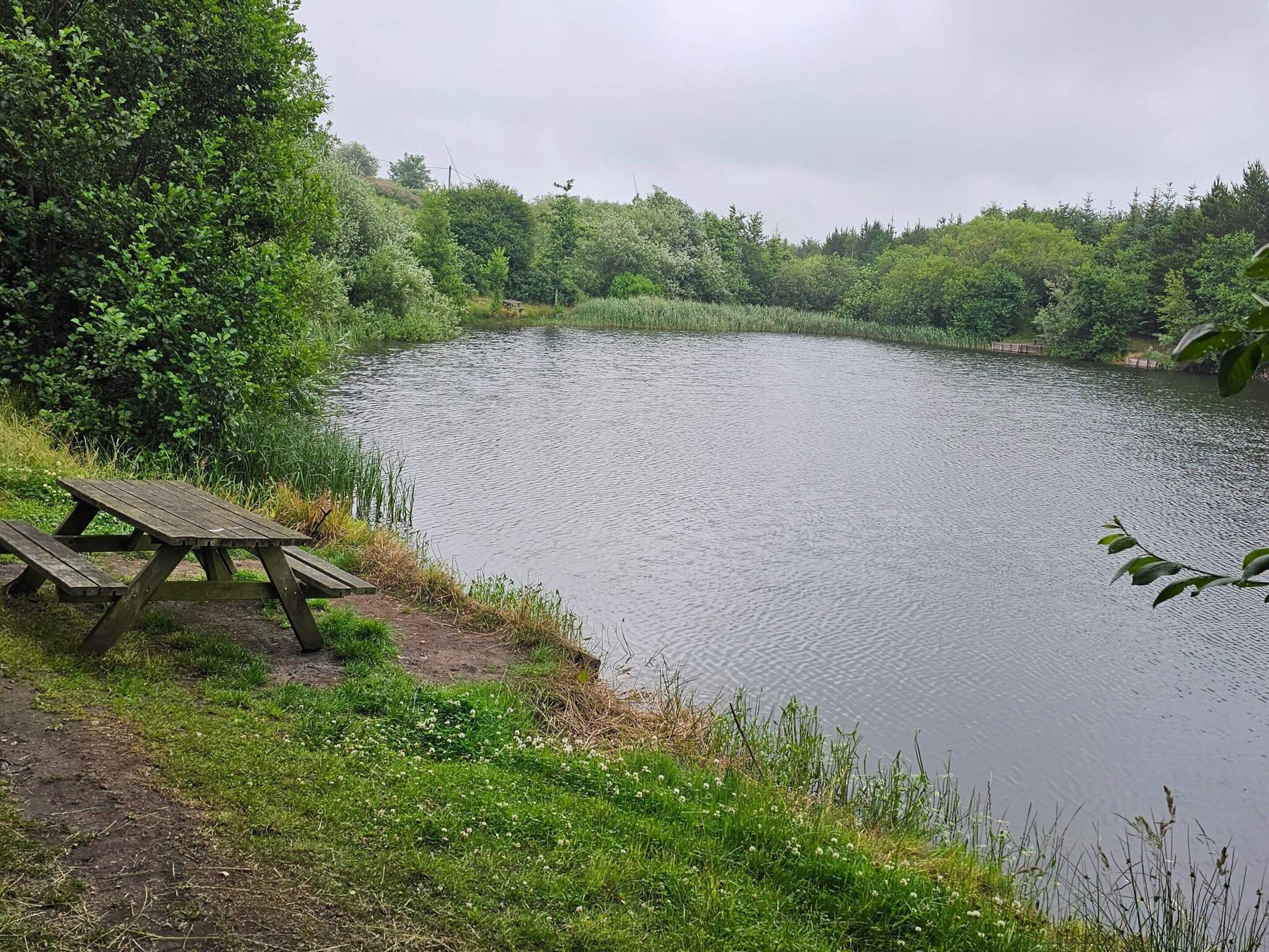 Ein Picknickbereich am Seeufer mit einer Holzbank und einem Picknicktisch.