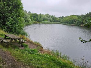 A lakeside picnic area with a wooden bench and a picnic table. - 5 Star Holiday Home in Ringkobing (Ringkobing)
