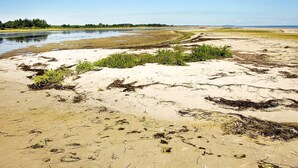 A coastal landscape with sandy shores, sparse vegetation, and a calm body of water. - 5 Star Holiday Home in Hadsund (Hadsund)