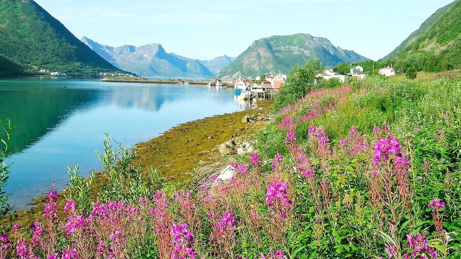 8 Person Holiday Home in Kaldfarnes