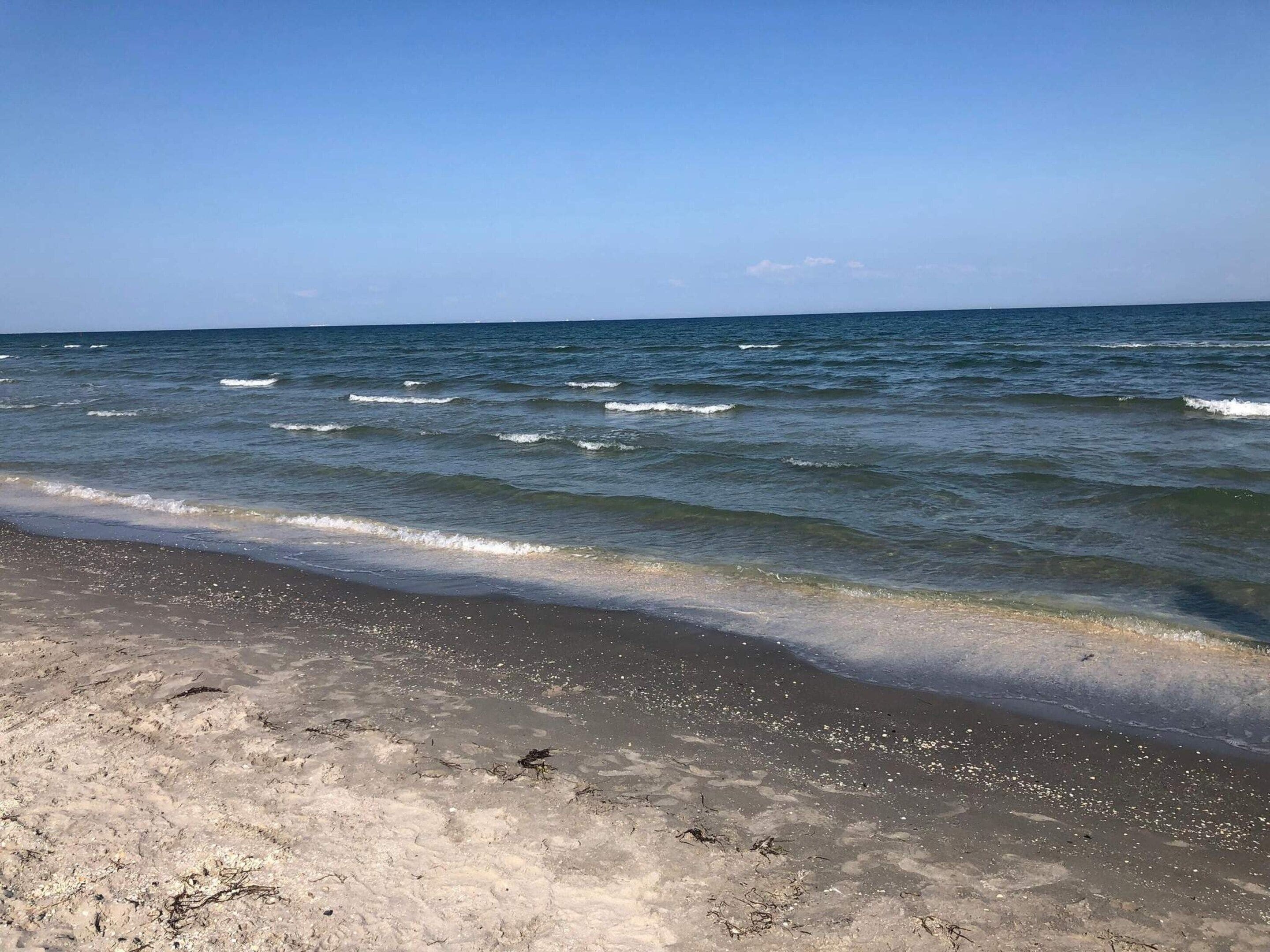A beach with waves, clear sky, and sandy shore.