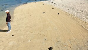 A person standing on a sandy beach with clear water and mountains in the background. - 7 Person Holiday Home in Skutvik (Hamaroy)
