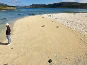 ハウス | ビーチ | ビーチの近く