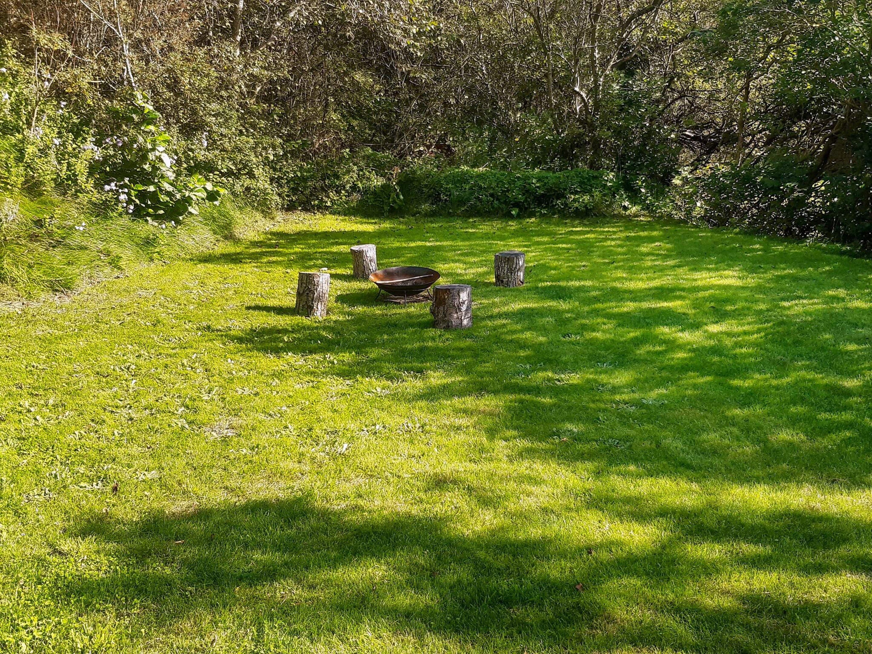 Un espace extérieur recouvert d’herbe, avec une brouette et des souches d’arbres.