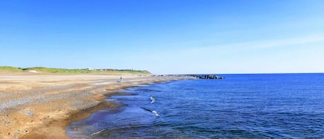 A coastal beach with clear skies, rocky shoreline, and distant buildings.