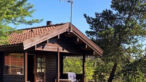 Une cabane en bois avec une véranda, une cheminée et une antenne parabolique.
