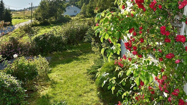 Exterior - 3 Person Holiday Home in Vartdal (Orsta)